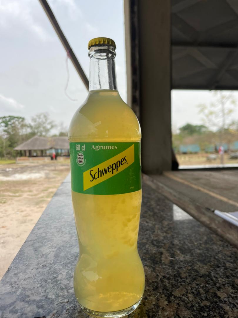 SCHWEPPES 60CL